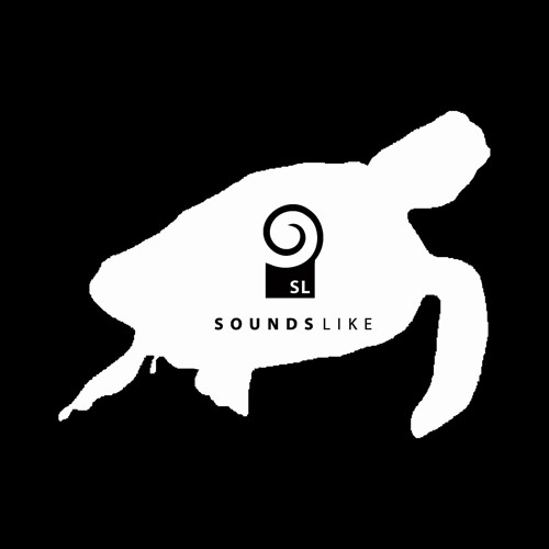 [SL001] SOUNDSLIKE... Defunkt (Turtles All The Way Down)